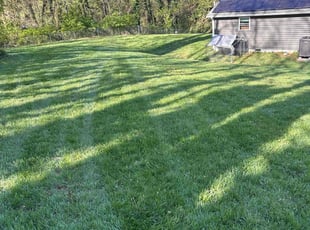 Richard H.'s Lawn Service service result