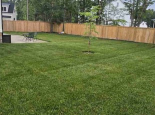 Satyam A.'s Lawn Care service result