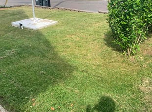 Claude S.'s Lawn Care service result