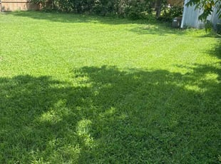Marnie R.'s Lawn Mowing Service service result