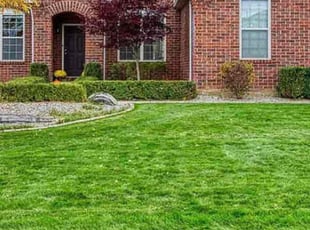 Marlon A.'s Lawn Mowing service result