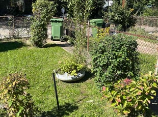 Bush Trimming by Albert Forbes for Teresa T. in Baltimore, MD