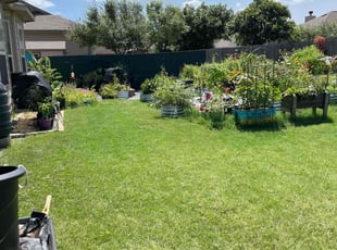 Chris A.'s Lawn Service service result