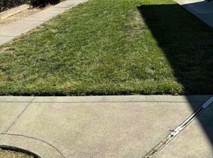 Aaron G.'s Lawn Mowing service result