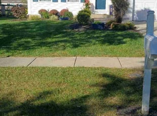 David H.'s Lawn Mowing Service service result
