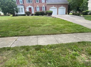 angela p.'s Grass Cutting service result