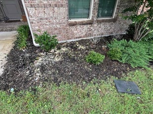 Scott H.'s Weeding service result