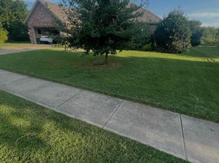 Payton & Nathan S.'s Lawn Mowing service result