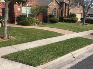James E B.'s Lawn Care service result