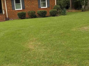 Bush Trimming by Anthony Beamon for Benita C. in Chesapeake, VA