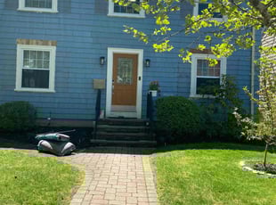 Bush Trimming by David Cardillo for Barry B. in Providence, RI