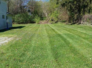Amy K.'s Lawn Service service result