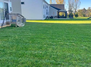 Lucia G.'s Lawn Care service result