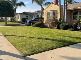 Bush Trimming by William Mendoza for Marilyn W. in Inglewood, CA