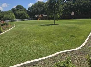 Martuane C.'s Lawn Mowing service result