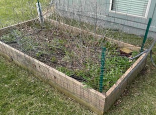 Weeding by Richard Liebetrau for Jami D. in Olathe, KS
