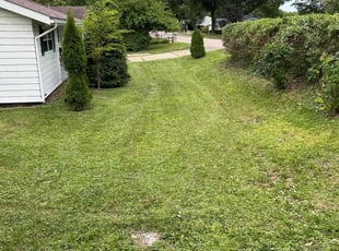 Janel T.'s Grass Cutting service result
