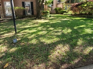 Leaf Removal by Andrew Casares for Mpumi M. in Houston, TX