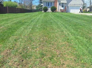 Gregory B.'s Lawn Mowing Service service result