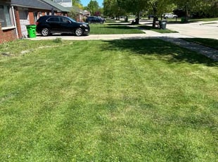 Melissa R.'s Lawn Service service result