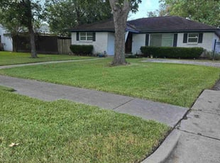 Pam D.'s Grass Cutting service result