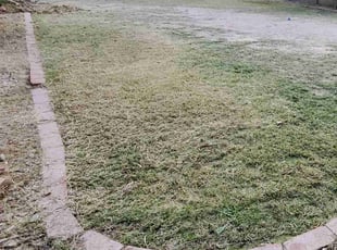 James C.'s Lawn Service service result