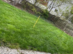 Andrea W.'s Lawn Mowing service result
