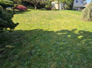 Marleen P.'s Lawn Care service result