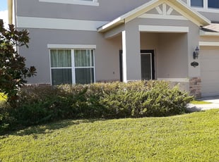 Bush Trimming by Shawn Deal for Ashesh C. in Tampa, FL