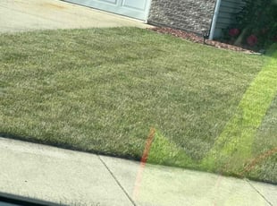 Harvey N.'s Yard Cutting service result
