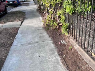 Bush Trimming by Keith Dalke for Amber L. in San Diego, CA