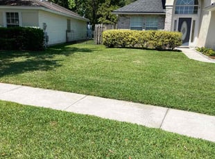 Lucy M.'s Lawn Maintenance service result