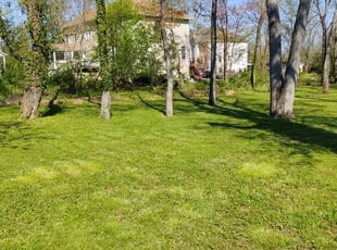 Cleanups by Allan Roberts for Kelli J. in Annandale, VA