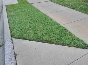 Herby G.'s Lawn Service service result