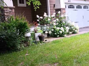Kyle L.'s Yard Cutting service result