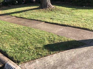 Leaf Removal by Steve Johnson for Kathleen A. in Columbus, OH