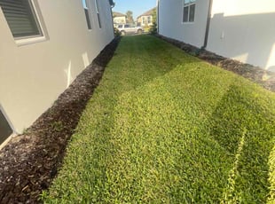 Alison R.'s Yard Cutting service result