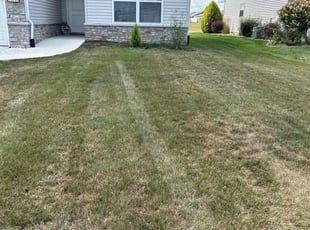 Maurice J.'s Lawn Service service result
