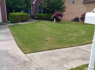 Lna L.'s Grass Cutting service result