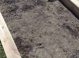 Weeding by Robert Duke for James L. in Indianapolis, IN