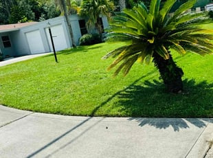 John H.'s Lawn Care service result