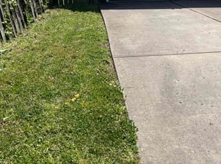 Adrian H.'s Lawn Service service result