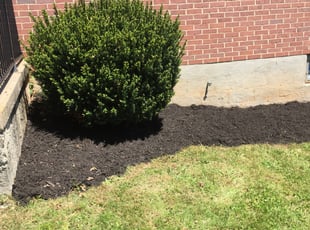 Mulching by Wesley Souders for Arron G. in Baltimore, MD