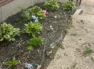 Weeding by Joseph Smith for Harden T. in Catonsville, MD