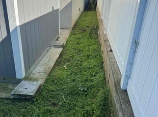 Danielle M.'s Lawn Maintenance service result