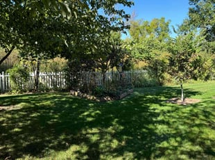 Yancy W.'s Yard Cutting service result