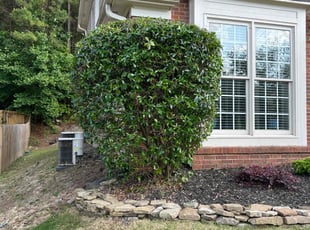 Bush Trimming by Enemecio Garcia for Courtney T. in Mableton, GA