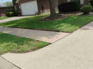Rhonda C.'s Lawn Mowing service result
