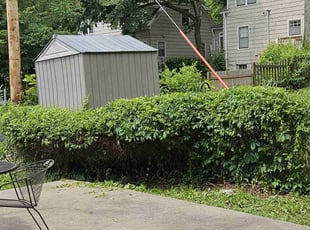Bush Trimming by Cameron Lewis for Linda A. in Kansas City, MO