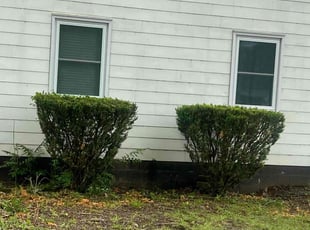 Bush Trimming by Bryant King for Tamara H. in Kansas City, MO